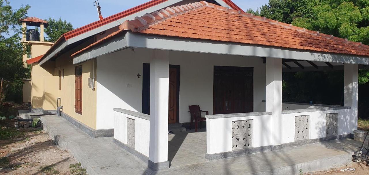 La Felicita Bed & Breakfast Mannar Luaran gambar